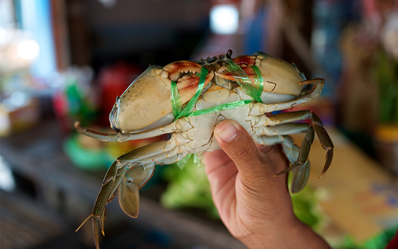 crab market Kep