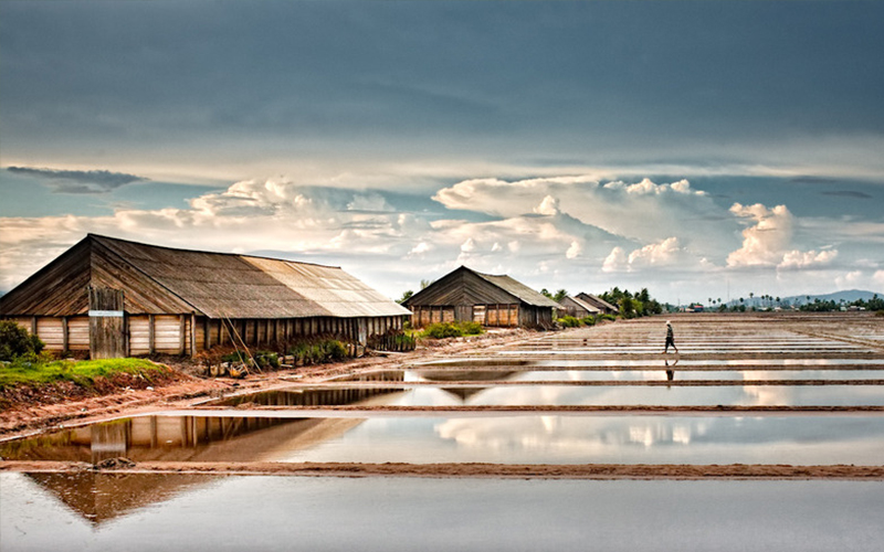 Salt Fields