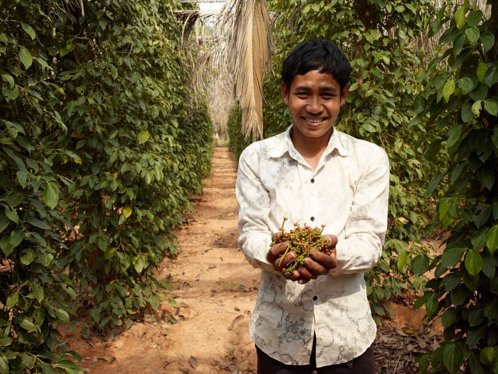 KAMPOT PEPPER EXPERIENCE TOUR SAMANEA BEACH RESORT & SPA KAMPOT PEPPER EXPERIENCE TOUR SAMANEA BEACH RESORT & SPA