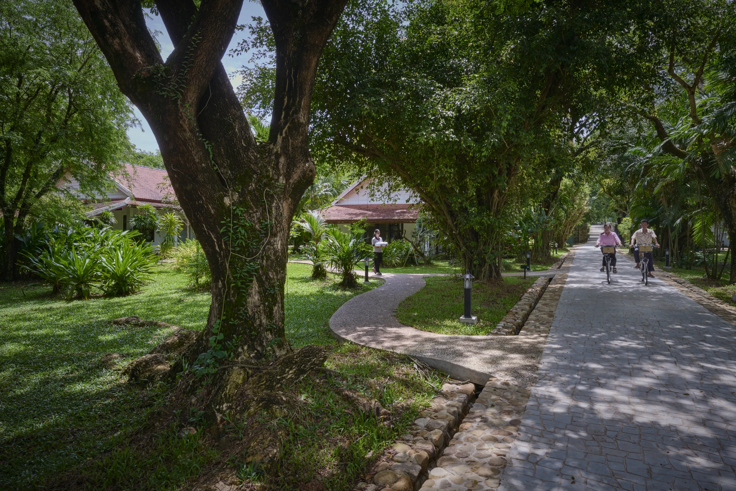 Samanea Entrance Path